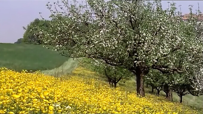 Film Complet Vintage Mettant En Vedette Des Écolières Dans Des Rencontres Sexuelles Chaudes