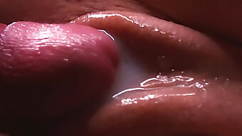 Satisfy Your Cravings With Young Cock And Cum