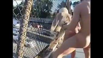 Public Blowjob And Pussy Fucking