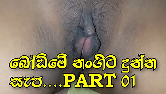 Wet And Wild: Srilankan Teen'S Erotic Journey