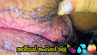 Sri Lankan Nangita Gets Naughty On Campus In Hd Video