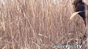 Jovencitas Japonesas Haciendo Una Pausa Para Un Descanso Para Orinar Al Aire Libre