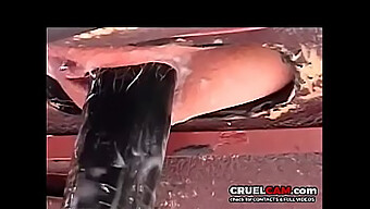 جرب الإثارة عندما تركبك آلة جنسية على Cruelcam.Com.