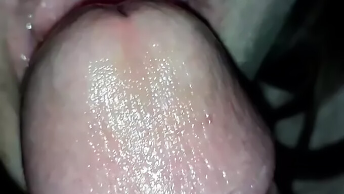 Minha Esposa Me Faz Sexo Oral! (2019)