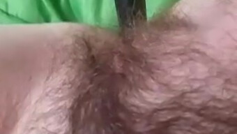 Amateur Wife Reveals Her Hairy Pussy And Pleasures Herself