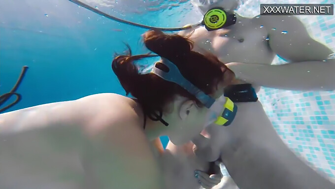 La Rencontre Publique Avec Une Piscine Mène À Une Intense Action Orale Et Branlette